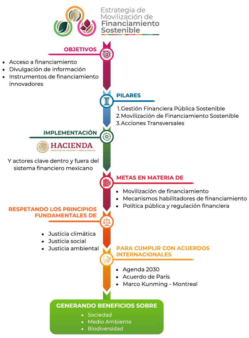 Creacin de Capacidades