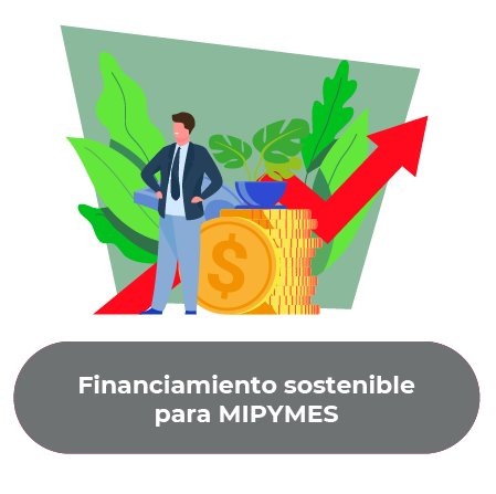 Financiamiento sostenible para MIPYMES