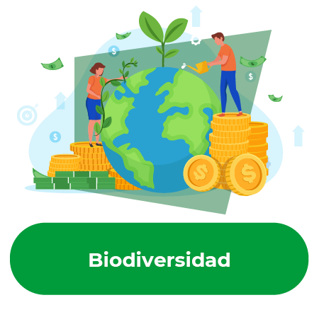 Biodiversisas en el sistema financiero