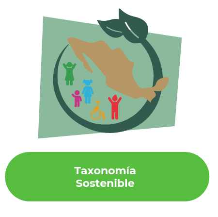 Implementacin de la Taxonoma Sostenible