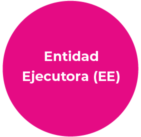 e-ejecutora