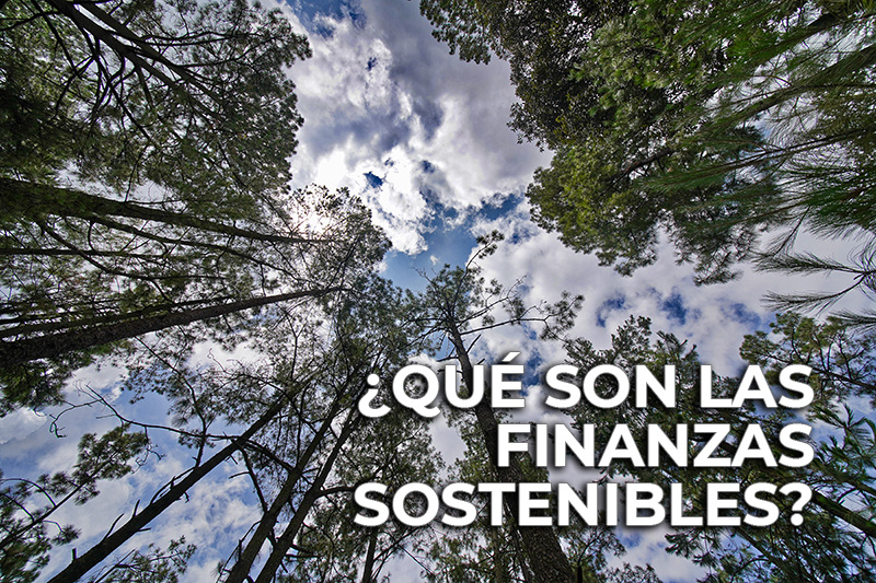 Qu son las finanzas sostenibles?