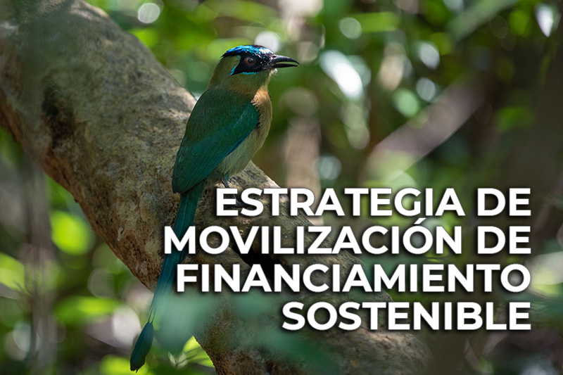 Estrategia de movilizacin de financiamiento sostenible